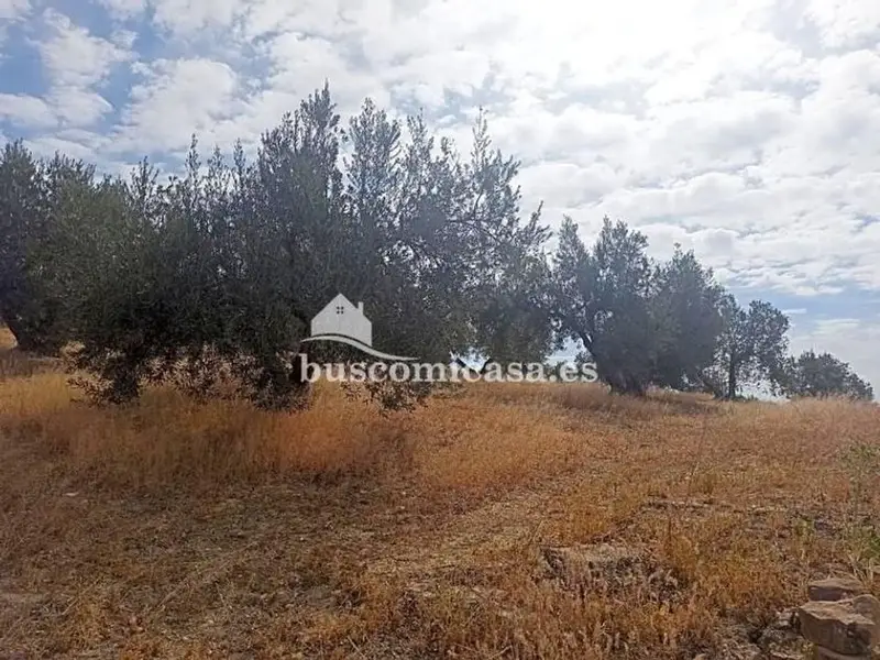 venta Terreno en Torrequebradilla, Jaén Provincia (CSH-BG488)- Globaliza