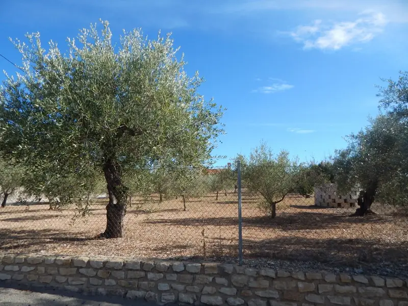 Venta Terreno Ontinyent 2350m2