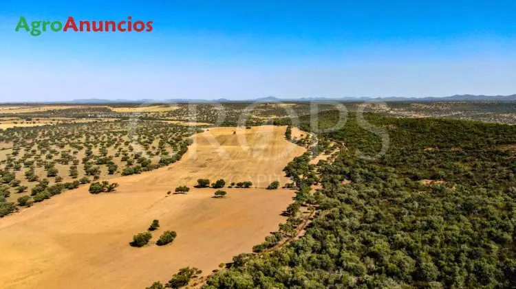 Venta  de Finca agrícola y ganadera en Badajoz