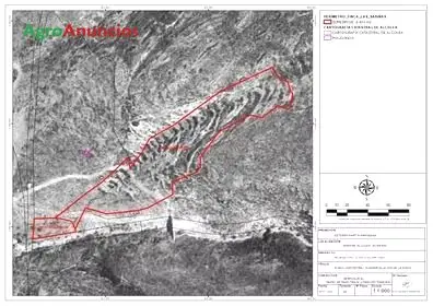 Venta  de Finca de almendros en Almería