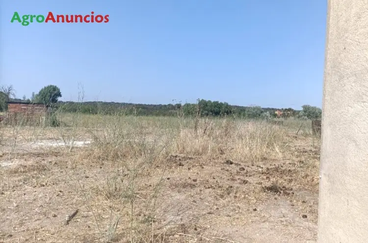 Venta  de Finca de recreo en Badajoz