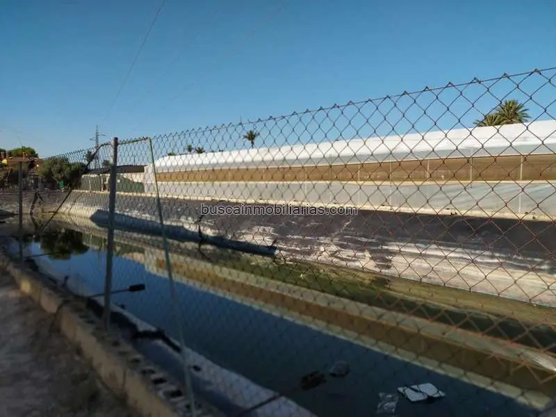 Venta Invernaderos Elche 17000m2