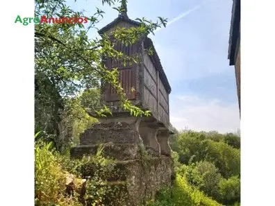 Venta  de Casa de piedra con plantación de eucaliptos en Pontevedra