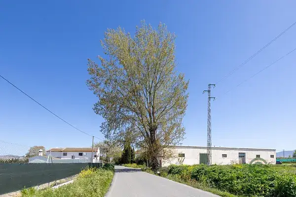 Casa Cortijo Urbana con Finca 47ha Gran Capacidad