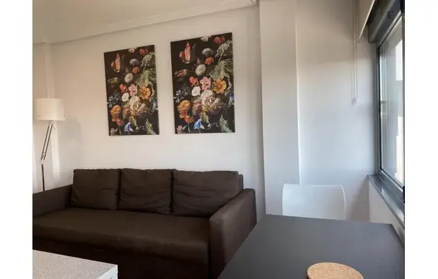 Rent 1 bedroom apartment in Madrid