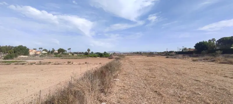 Venta Parcela Edificable Maitino Elche 13400m2