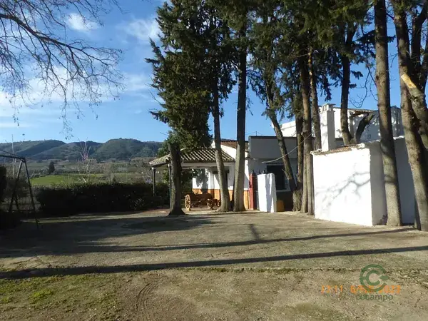Finca Rustica en Ronda con 19000m2