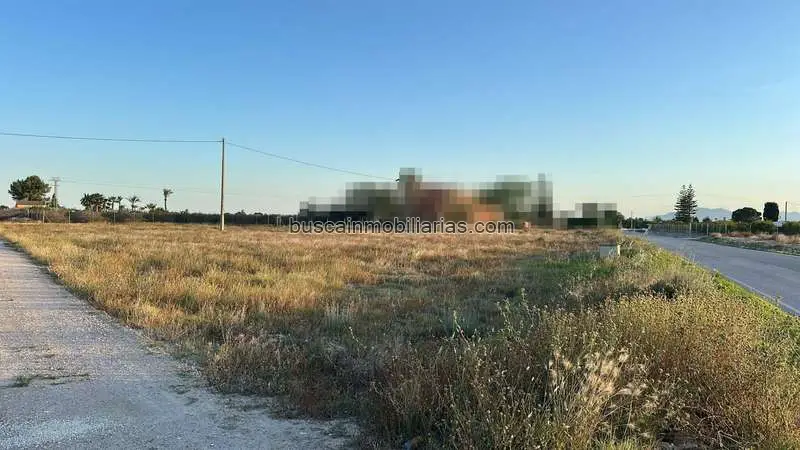 Parcela Rustica en Venta Elche Algoda Matola