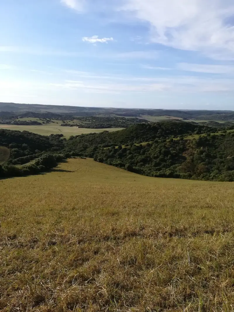 Venta Terreno Rustico Patria Vejer de la Frontera