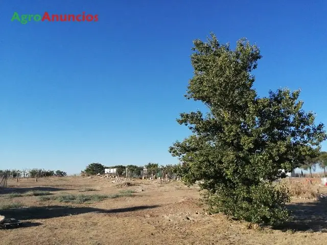 Venta  de Finca rústica en Valladolid