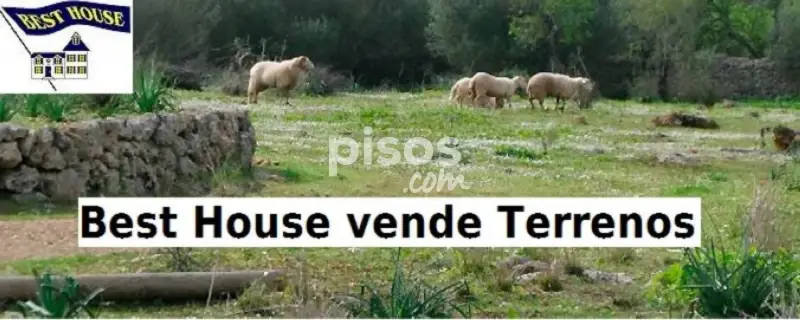 Finca rústica en venta en Villacete