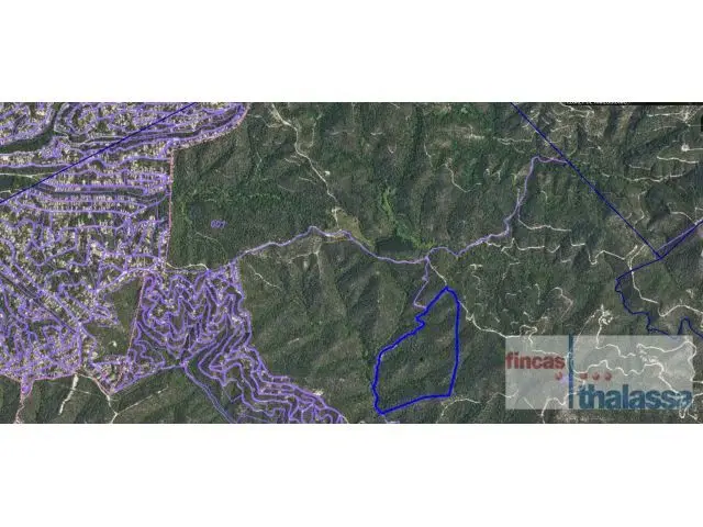 Parcela Rustica en Venta Lloret de Mar 255 HA