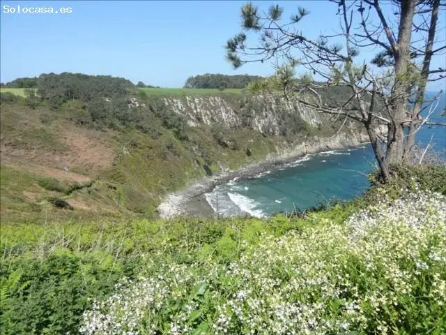 Parcela Edificable Otur Cerca Playa Asturias