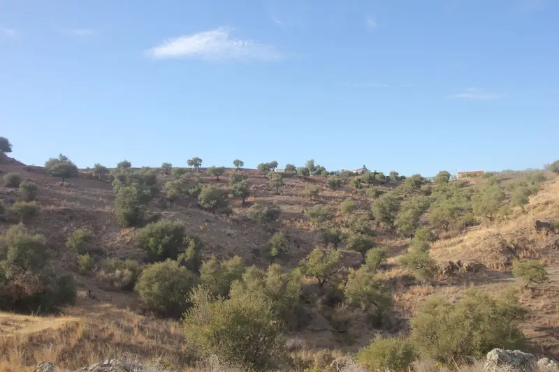Terreno en Venta Coín Málaga Gran Oportunidad de Inversión