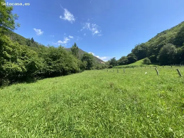 Venta Finca Edificable Llenin Asturias