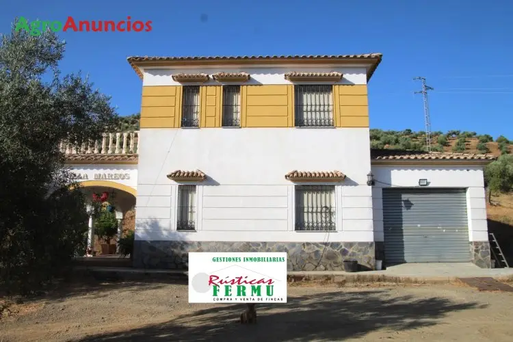 Finca de Olivar con Chalet en Córdoba - 10 Hectáreas