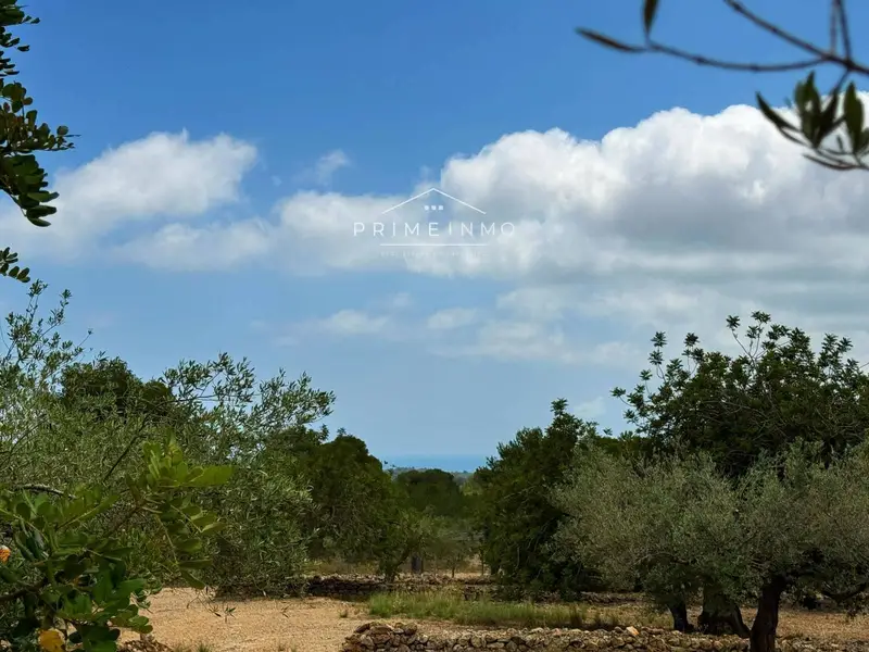 Finca Rustica en Venta El Perelló Tarragona