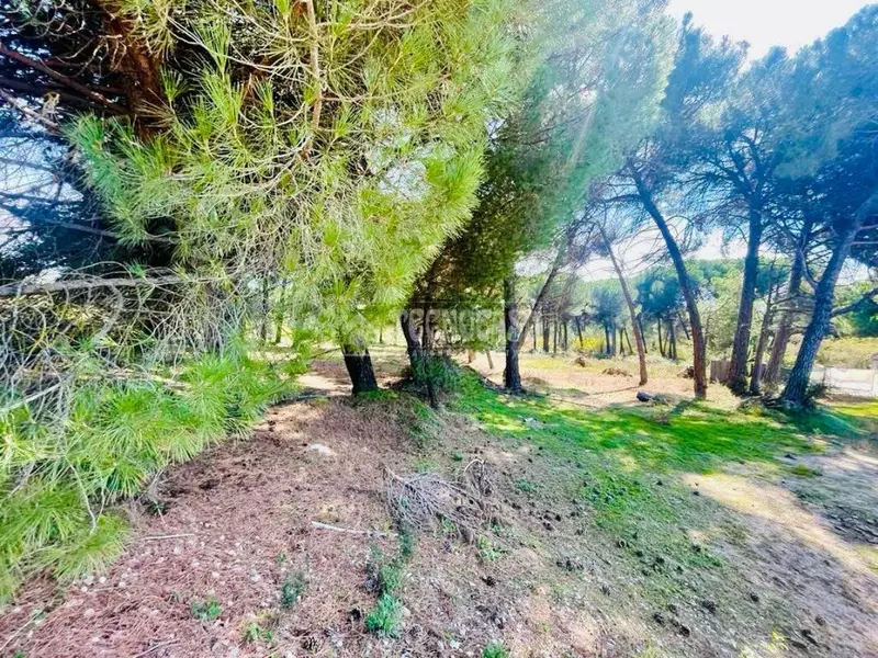 Terrenos en venta en Laguna De Duero