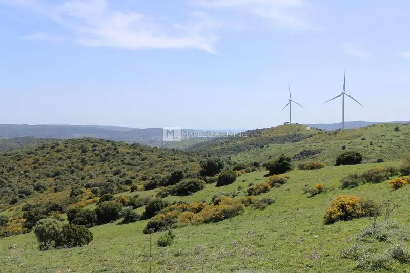 Terrenos en Venta San Martin del Tesorillo Cadiz