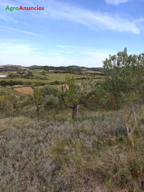 Venta  de Finca rústica en Navarra