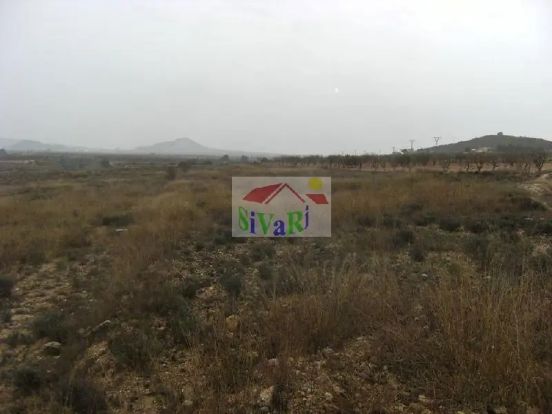Venta Terreno Ricote 12000m2 Murapark