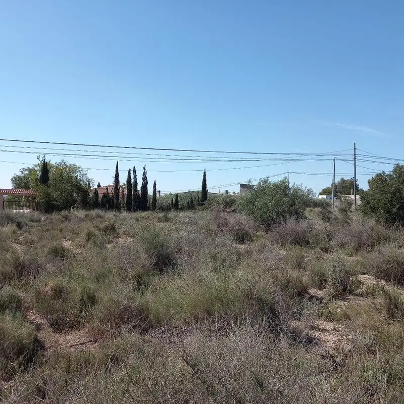 Solar Edificable 16000m2 Novelda - Casa Campo
