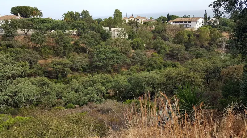 Parcelas en Venta Elviria Marbella Costa del Sol