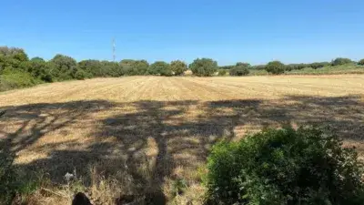Finca Rustica en Venta Puerto Real 13300m2