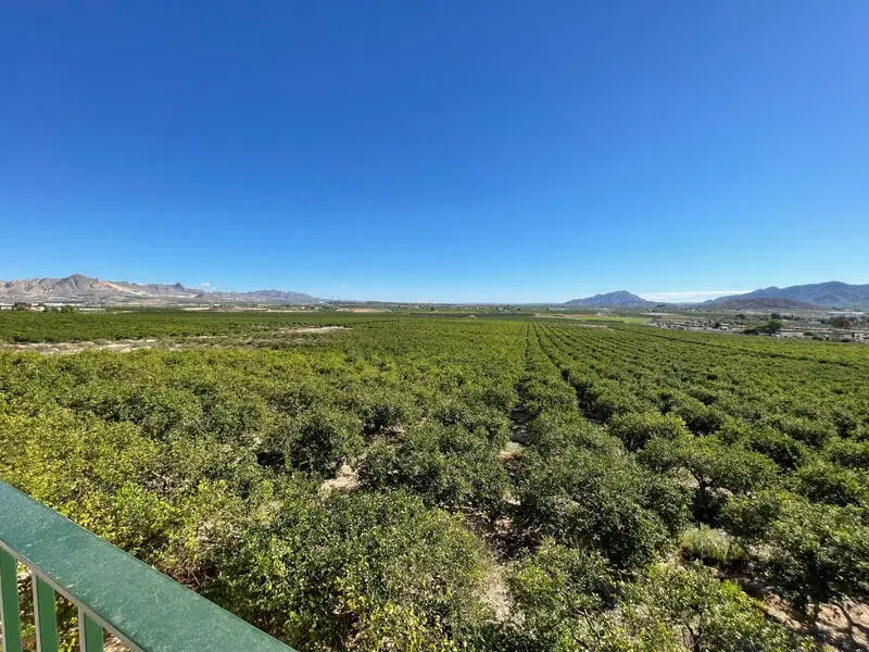 Finca con Villa de 4 Dormitorios en Murcia