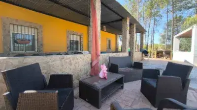 Finca Rustica en Gibraleon 6175m2 5 Habitaciones Piscina