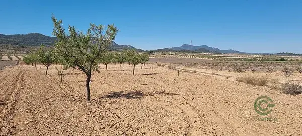 Terreno 15469m2 Vistas Panoramicas Murcia Jumilla