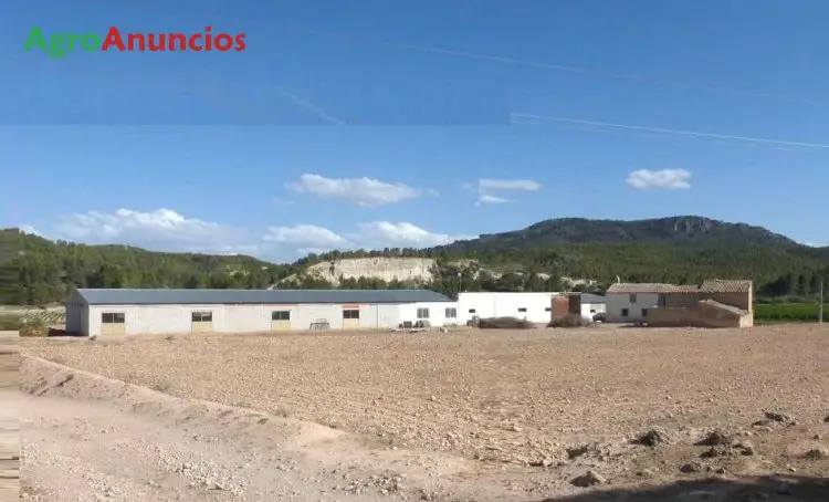 Venta  de Finca agricola con explotacion ganadera en Murcia