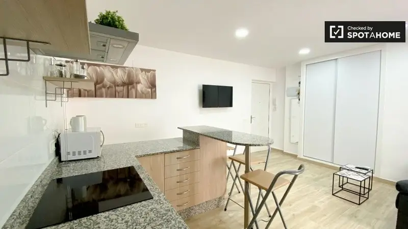 Apartamento 3 Dormitorios 1 Baño Valencia