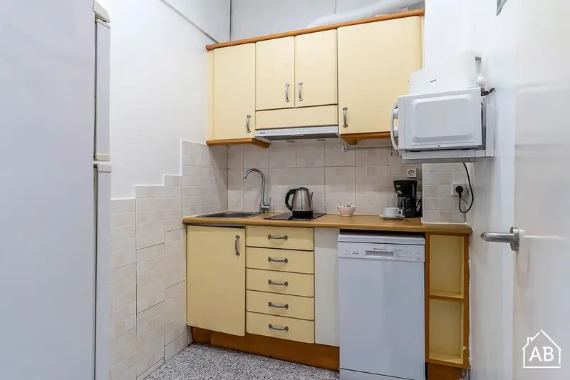 Apartamento 3 Dormitorios Las Ramblas Barcelona Centro