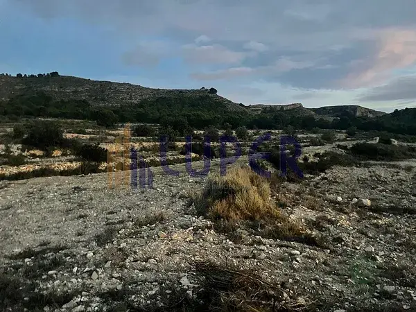 Finca Rustica Agost Alicante 12680m2