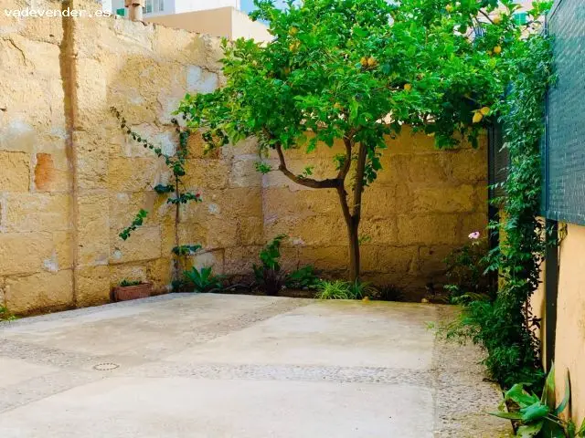 Planta Baja Reformada Palma - Ideal Funcionarios y Sanitarios