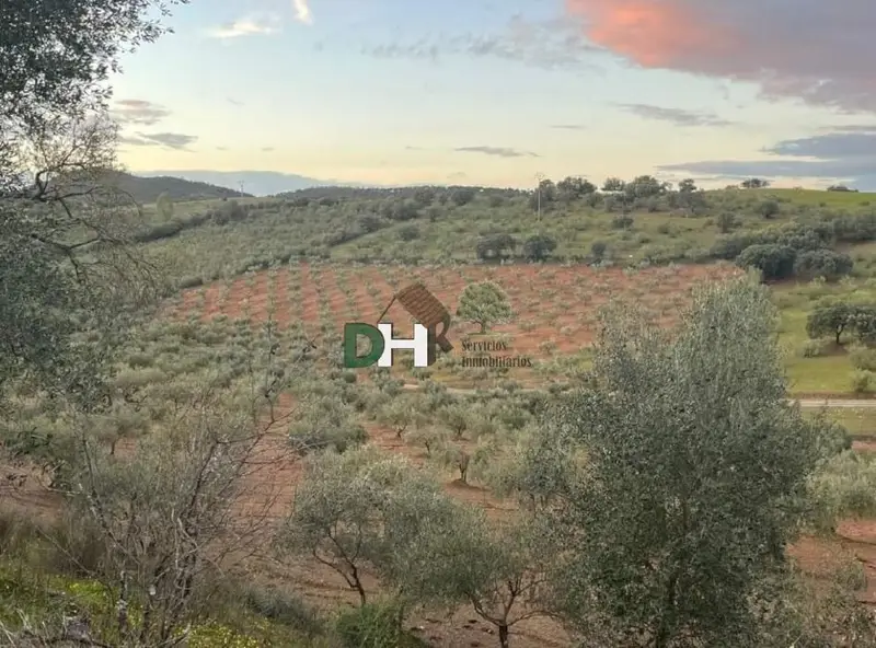 Venta Finca Rustica Olivar Villar del Rey Badajoz