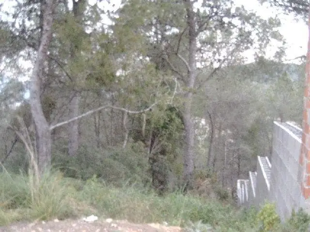 Solar en Venta en Canyelles Barcelona 651m2