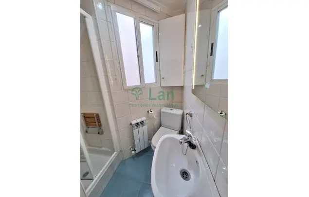 Alquiler Apartamento 1 Dormitorio Bilbao 50m2