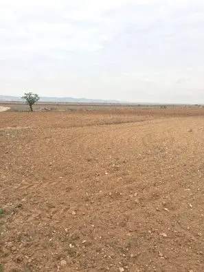 Venta  de Terreno rústico de secano llano en Zaragoza