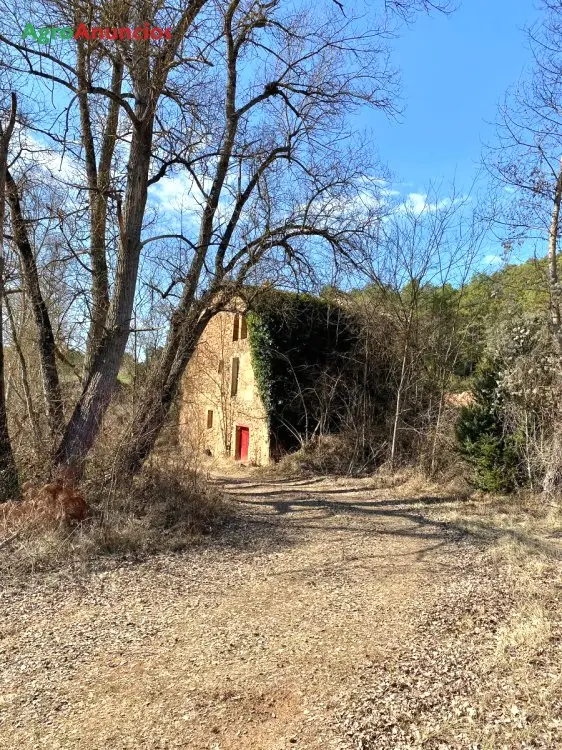 Venta  de Finca rústica con masía en Lleida