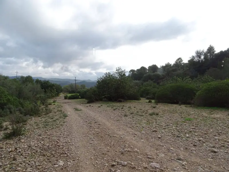 Finca Rustica en Tortosa con Posibilidad de Construccion