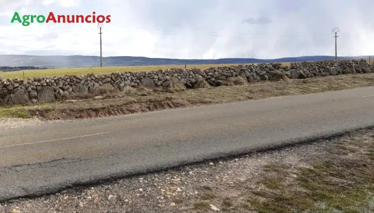 Venta  de Finca para pastos de ganado en Segovia