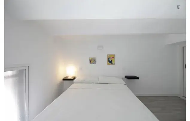 Estudio Madrid Estudiantes Profesionales Lavanderia Compartida