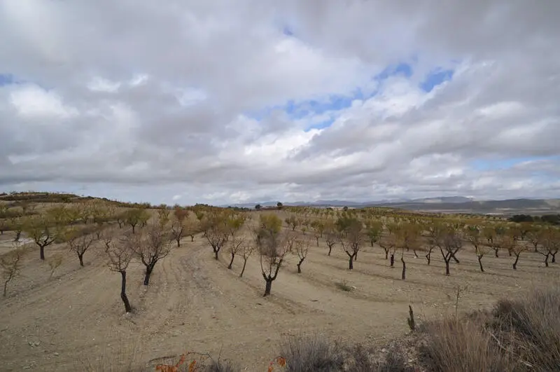 Terreno en Venta en Torrevieja 17000m2 Casa de 2 Dormitorios
