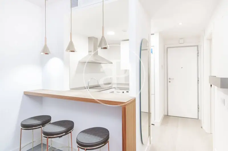 Estudio Amueblado en Isla de Chamartin Madrid