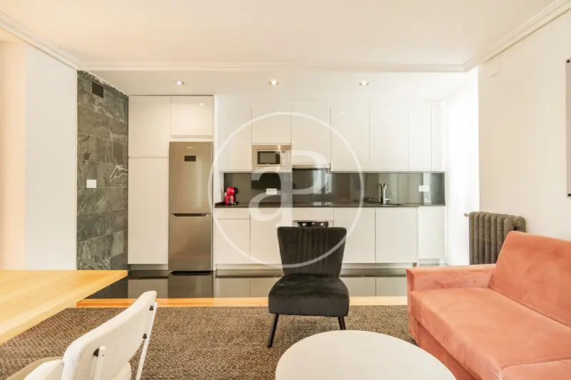 Apartamento Centro Madrid 2 Personas 1 a 11 Meses