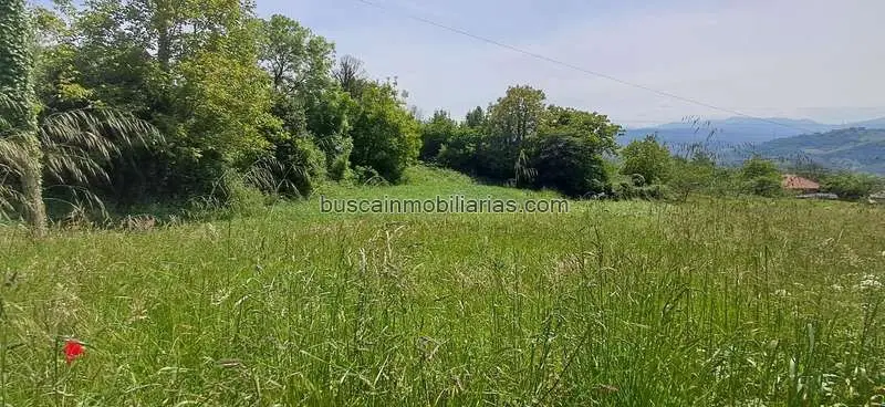 Parcela Edificable 990m2 Las Regueras - Vistas Maravillosas