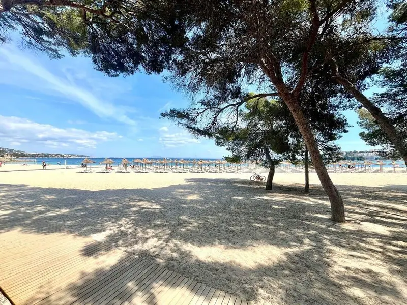 Apartamento en Palmanova con Terraza y Vistas al Mar