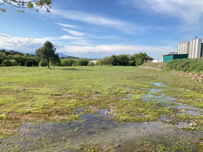 Venta Terreno Industrial Maçanet de la Selva 11700m2